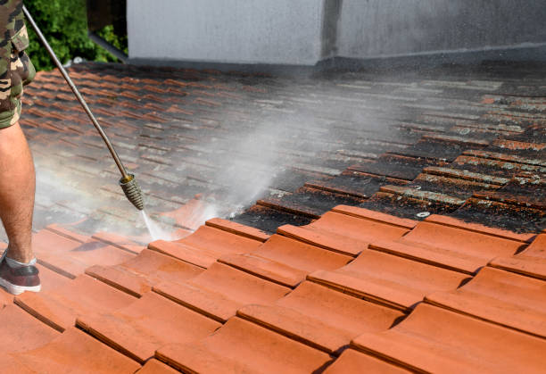 Best Pressure Washing Patio  in Wellington, TX