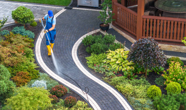 Best Roof Power Washing Services  in Wellington, TX